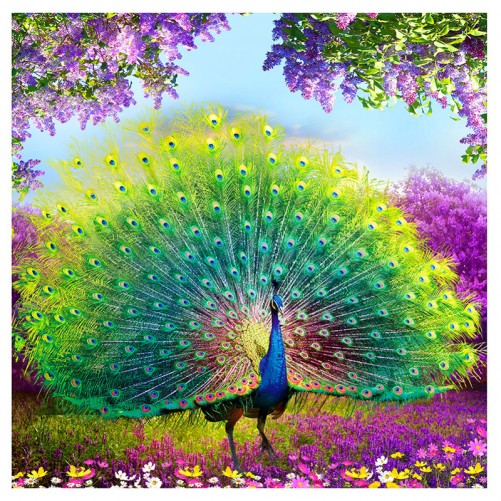 "Peacock in Spring" - Cute full solid square diamond art puzzle