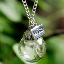 Clearance sale: Wishes really do come true! pendant + chain